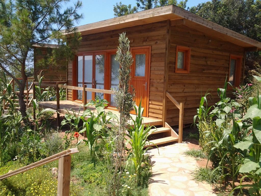 Kabak Avalon Lodge