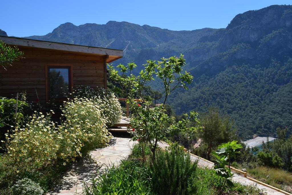 Domek letniskowy Kabak Avalon *