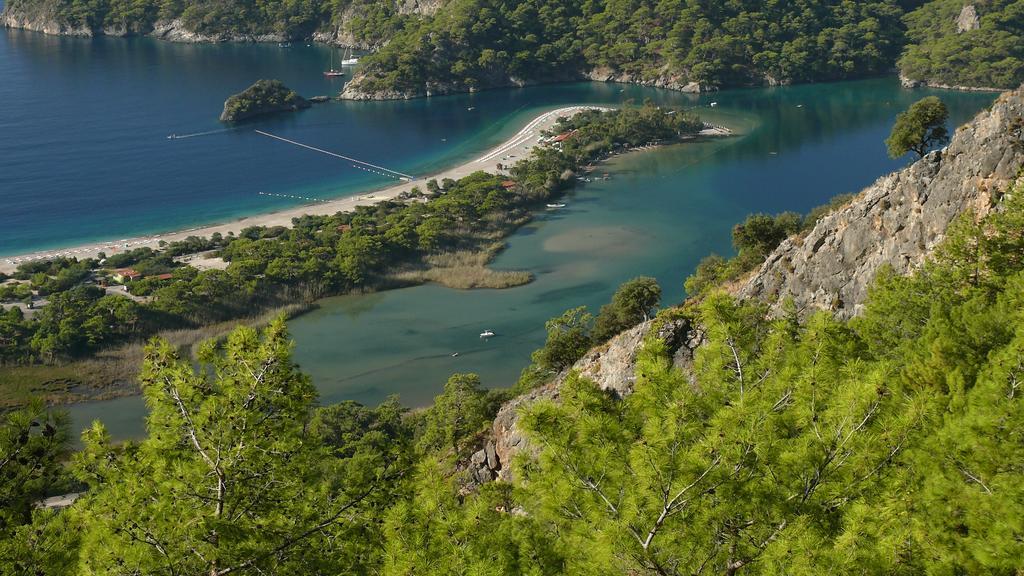 Kabak Avalon Faralya