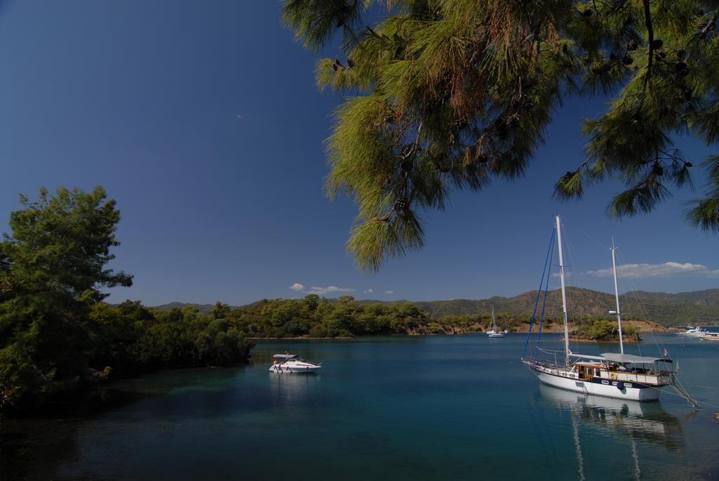 Domek letniskowy Kabak Avalon