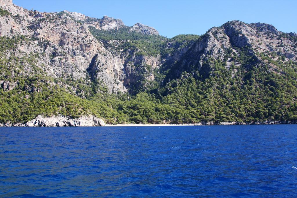 Kabak Avalon Lodge
