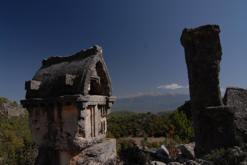 Kabak Avalon * Faralya