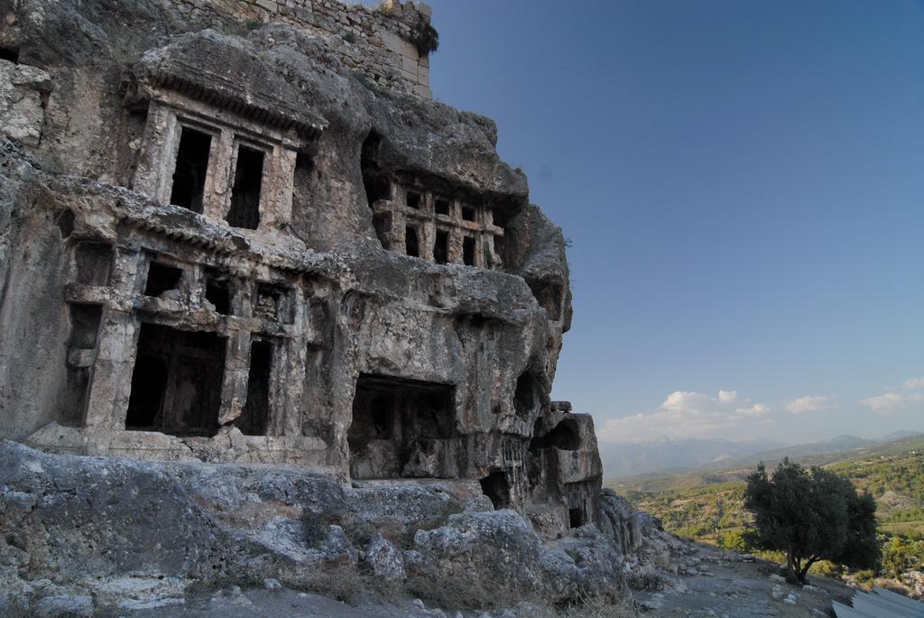 Kabak Avalon *