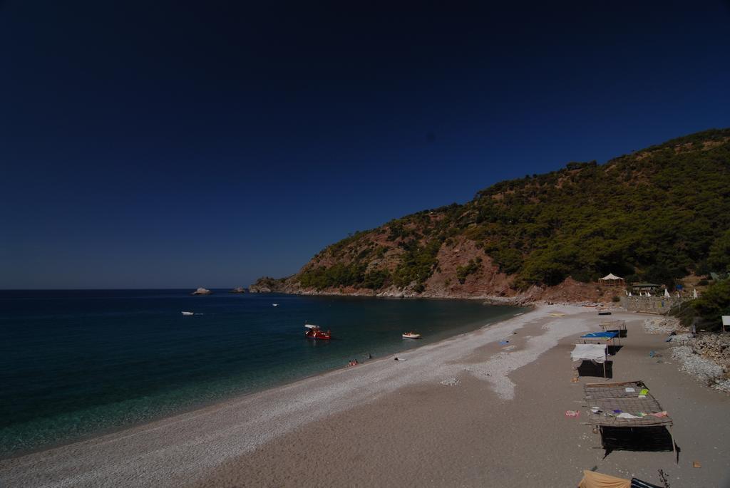 Kabak Avalon * Faralya