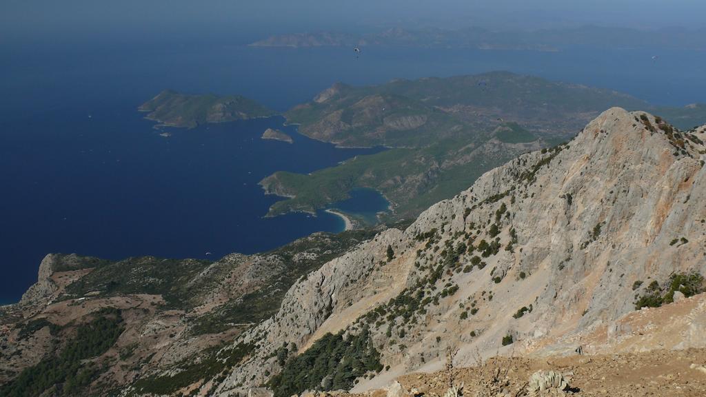 Kabak Avalon Faralya