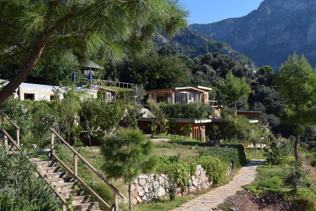 Kabak Avalon *