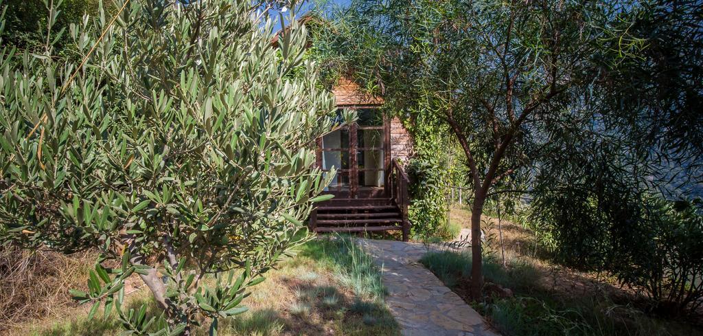 Lodge Kabak Avalon