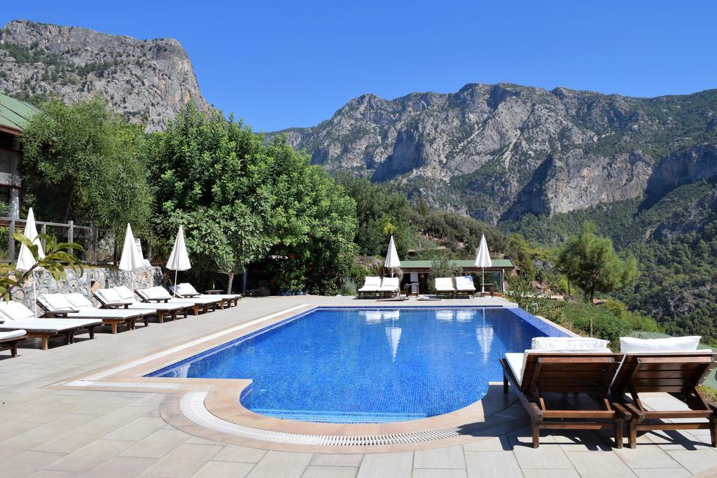 Kabak Avalon Faralya