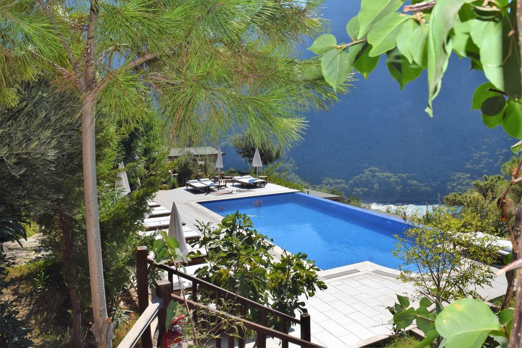 Kabak Avalon Faralya