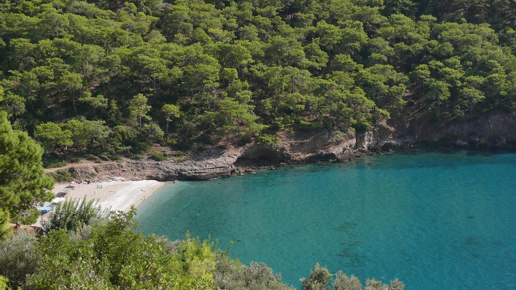 Kabak Avalon Faralya