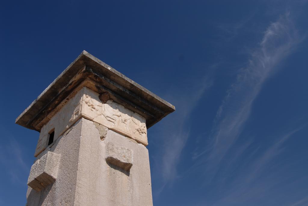 Kabak Avalon *