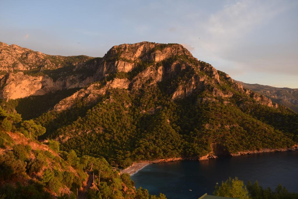 Kabak Avalon Lodge *