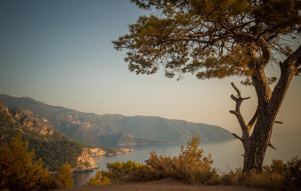 Lodge Kabak Avalon