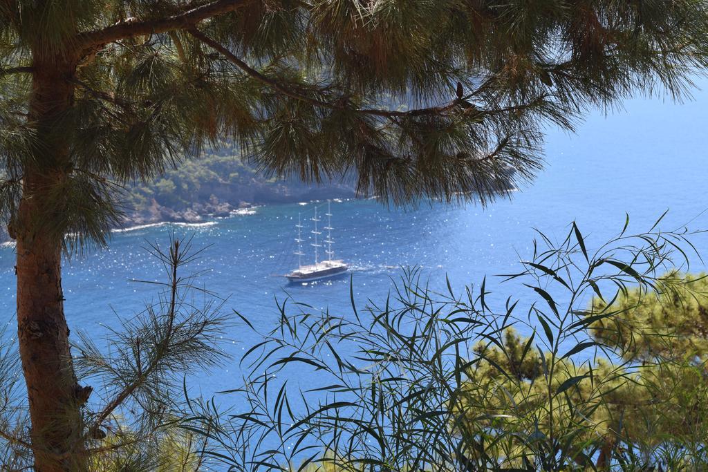 Kabak Avalon Lodge